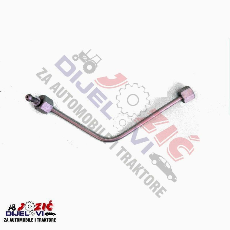 Daisy on the Ohoopee